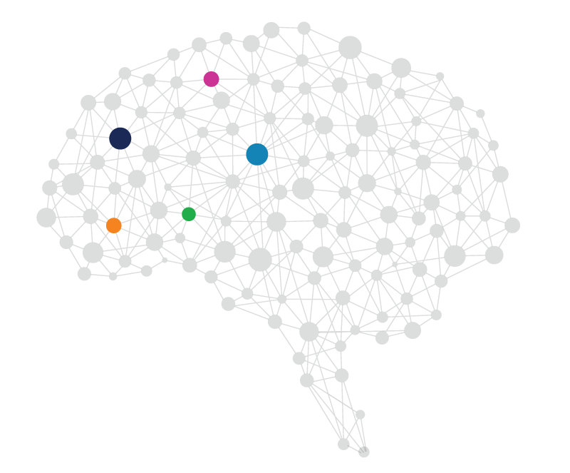 Brain