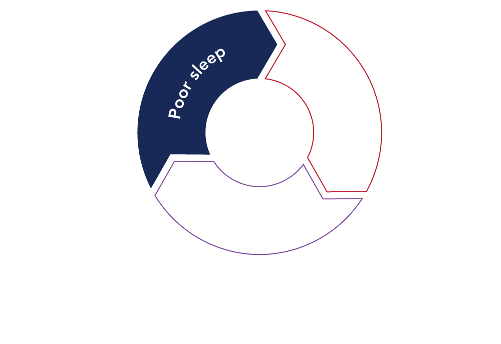 Sleep_cycle_ingredients