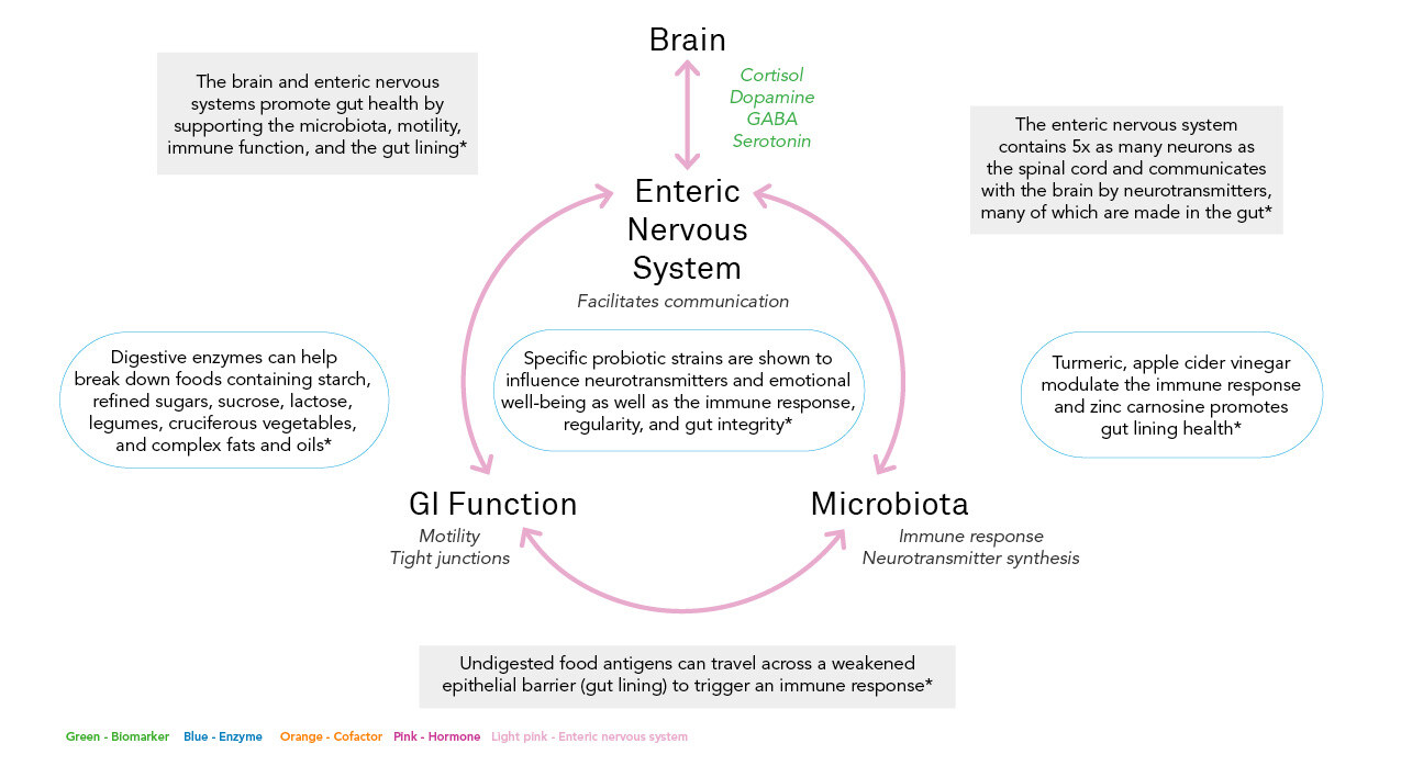 Gut_pathway Gut_pathway