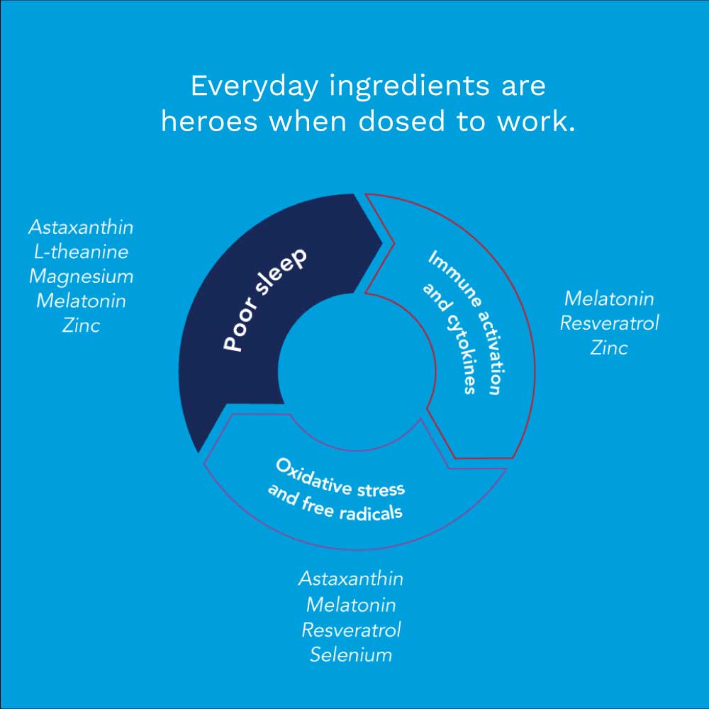 Sleep_cycle_ingredients-1