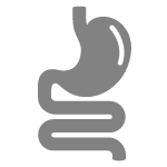 Gut